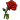 Unused rose in the game files