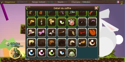 Contents of the Transformice chest