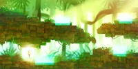 Jungle