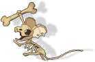 Skeleton mouse