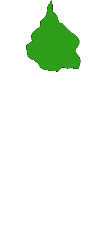 Acid