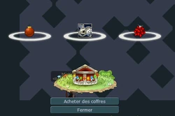 Opened Christmas chest