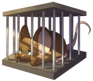 Mouse in prison