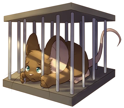 Cage detailed image