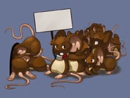 Server queueing system in 2011