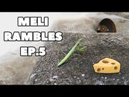 Atelier 801 In Real Life- Meli's Rambles Ep