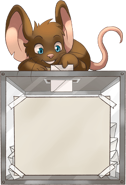 Mouse voting in an election