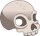 Eye item #19