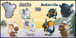 Arctic vs Antarctic 2026 (15 Jan – 29 Jan)