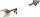 Ear item #21