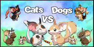 Cats vs Dogs 2021