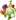Macaron 67