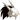 Shop-head40