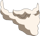 Neck item #3