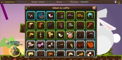 Contents of the Transformice chest