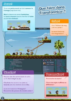 What to do in Transformice?