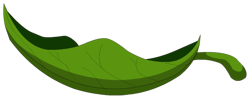 Leaf