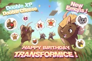 13th Anniversary (27 Apr – 13 May)