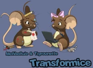 Melibellule and Tigrounette