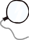 Eye item #4