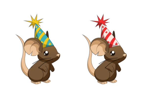 Hats customization