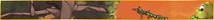 Adventure banner 16
