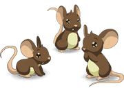 MiceDesign.png