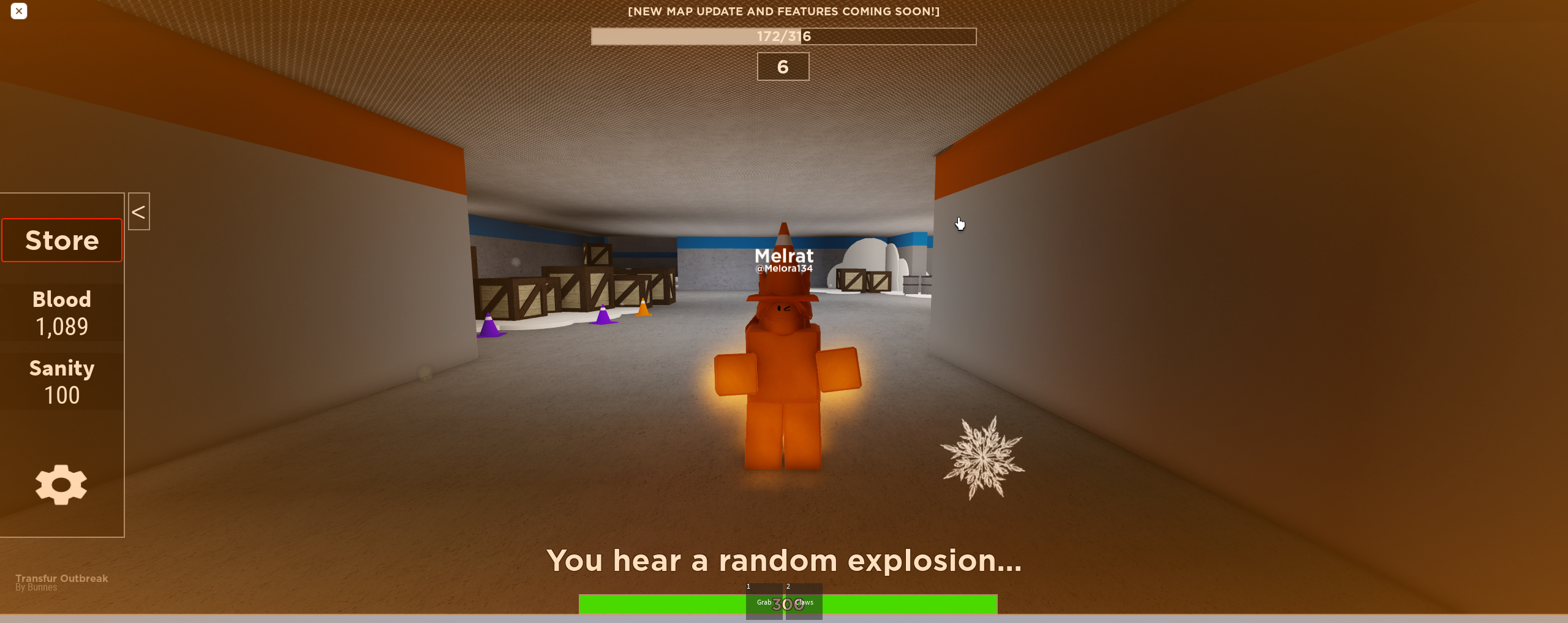 Blue Traffic Cone, Roblox Wiki