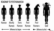 Issues around posthuman definitions
