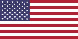 Flag-Big-USA