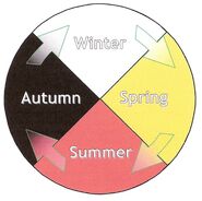 The four seasons cycle