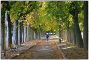 Parque mariana