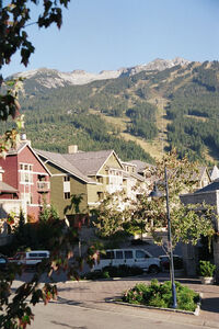 Whistler fall