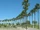 Long Beach