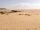 800px-Desert siwa.jpg