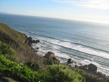 Marin coastline