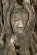 Ruins of Ayutthaya, Thailand