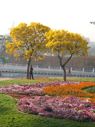 NTR Gardens