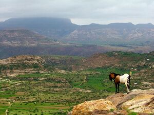 Ethopian Highlands