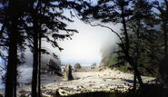 Ruby Beach in Olympic National Park, Washington.]]