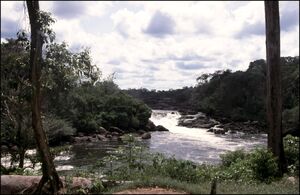 River landscape in Suriname