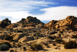 Joshua Tree Boulders