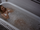 S2e10 - Marcy's ice bath.png