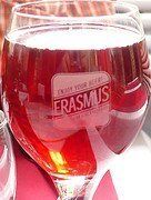 Erasmus.jpg