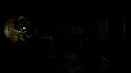 Ditto, flashlight on.