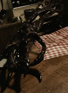 A screenshot teaser of Hourglass in the Kitchen.