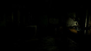 Ditto, flashlight on.