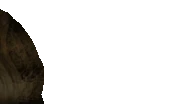 Acephalous' jumpscare.
