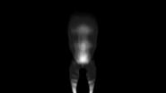 Slenderman's kill screen.