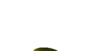 Chica's jumpscare.